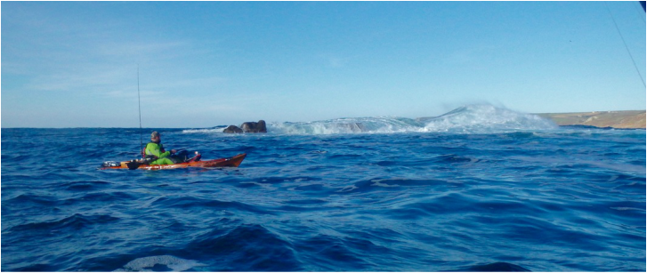 RTM Abaco 4.20 Review