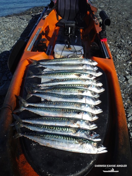Kayak Fishing at Porthkerris - Spring Mackerel