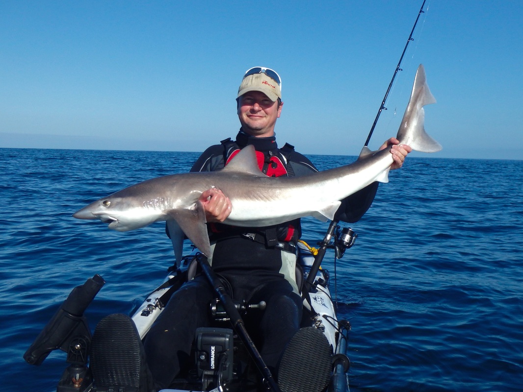 Tope Fishing from a Kayak