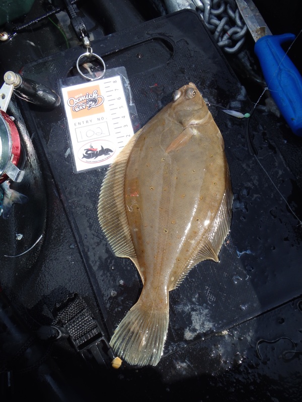 Dab caught at the Oxwich Bay Kayak Fishing Competition 2015