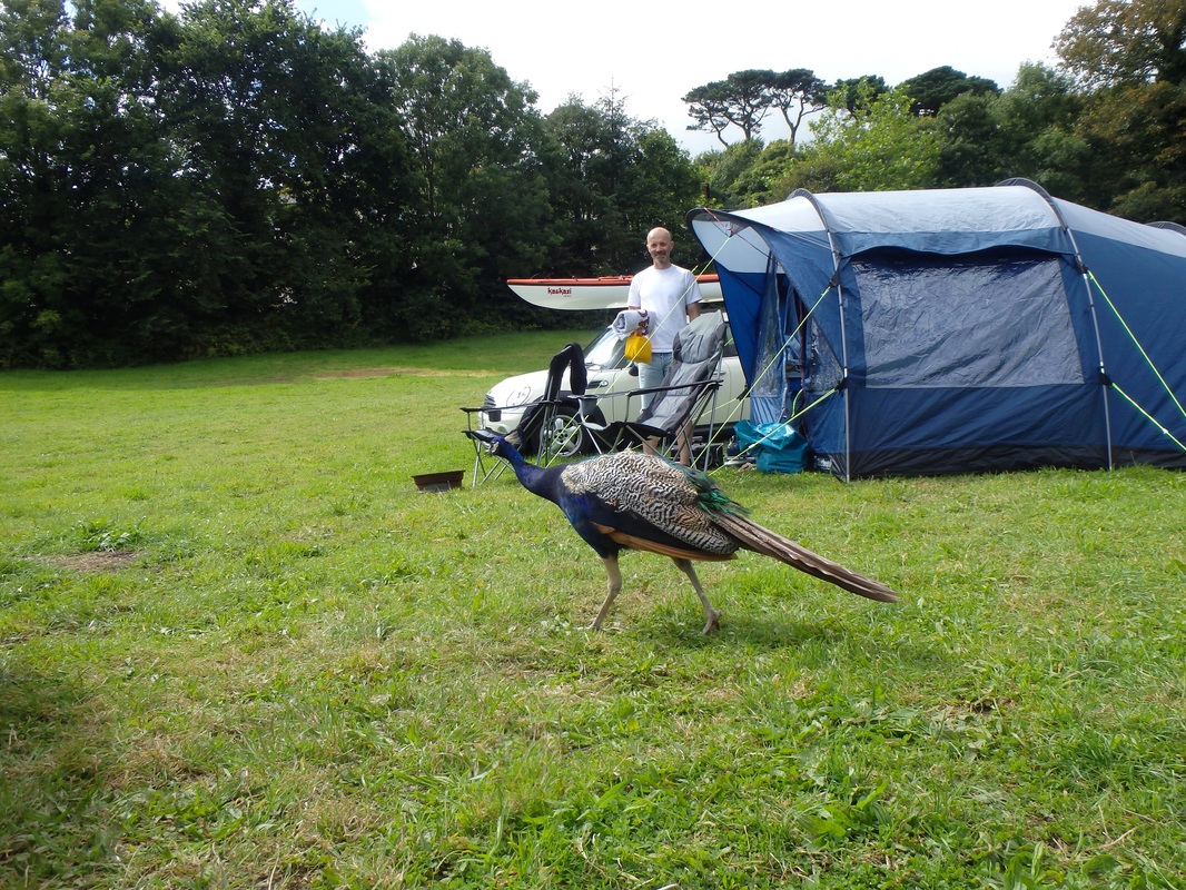 Penzance Kayak Fishing Meet 2015