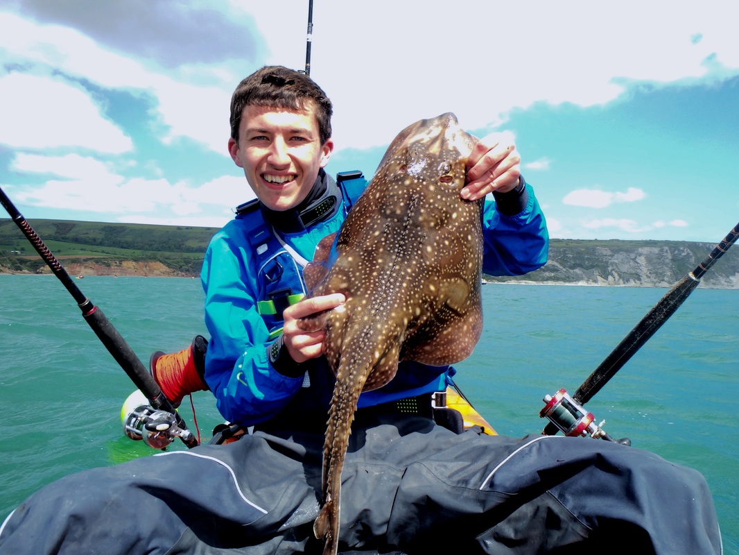 Undulate Ray caught from the kayak