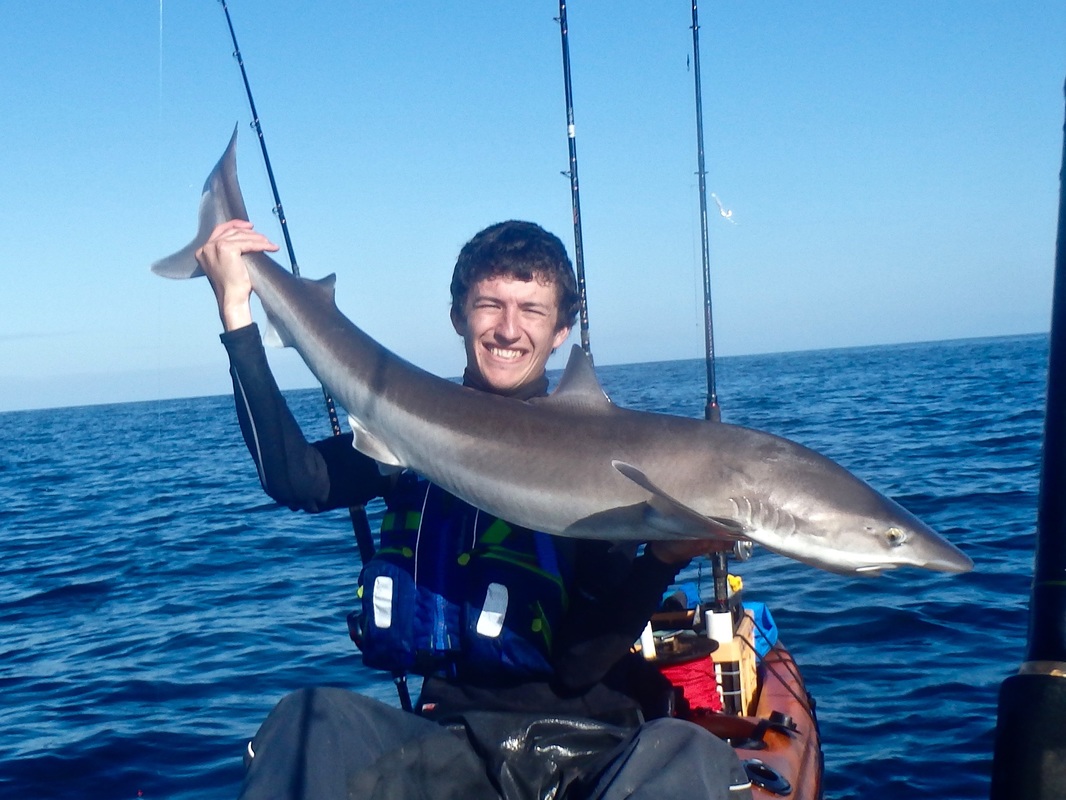 Kayak Fishing for Tope