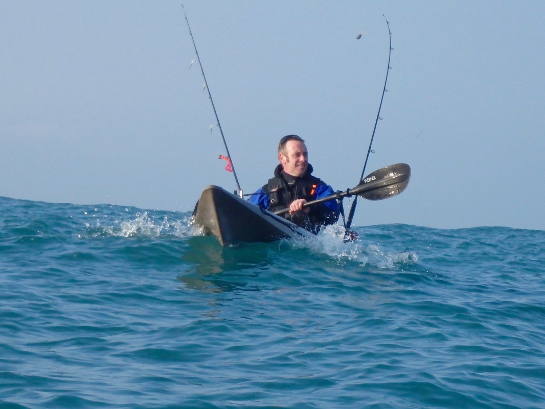 RTM Abaco 4.20 in Coffee