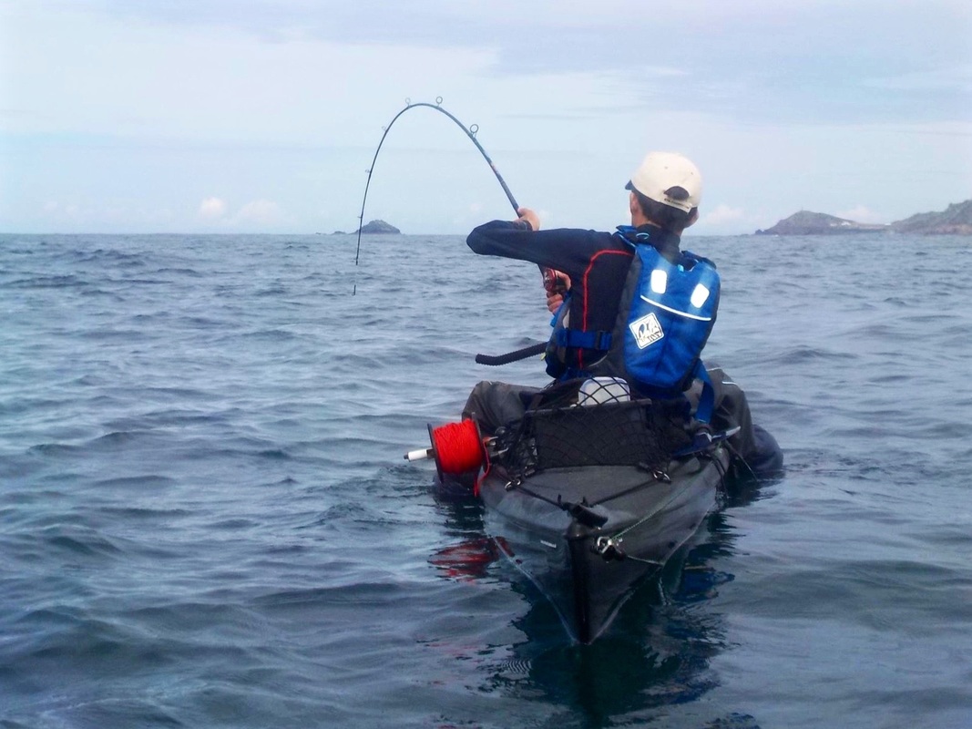 6-12lb Ugly Stik Kayak Rod bent into a fish