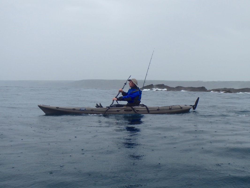 RTM Abaco 4.20 in Coffee