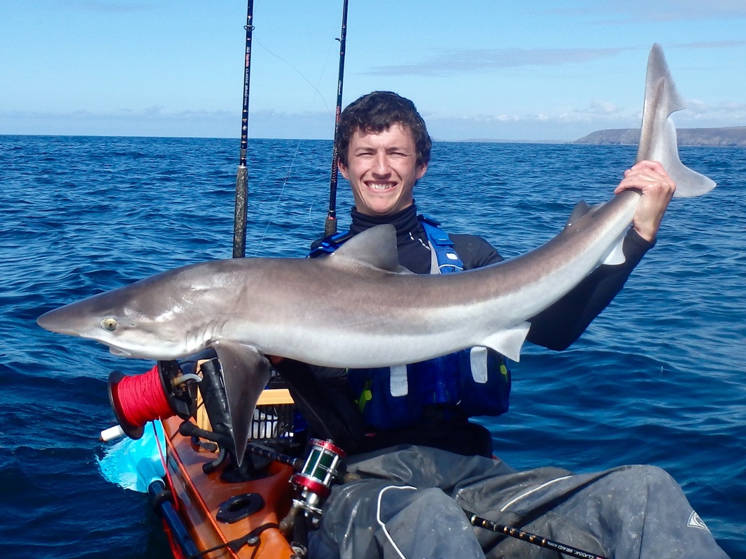 Kayak Fishing for Tope