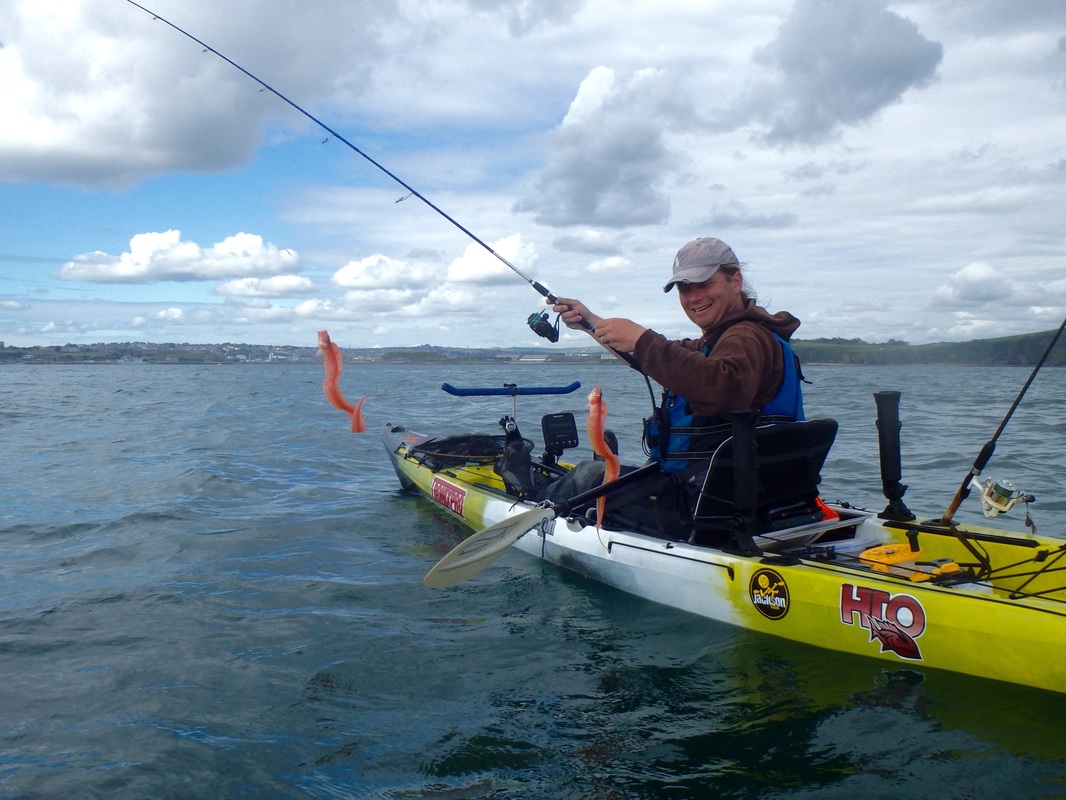 Red Band Fish - Cepola macrophthalma