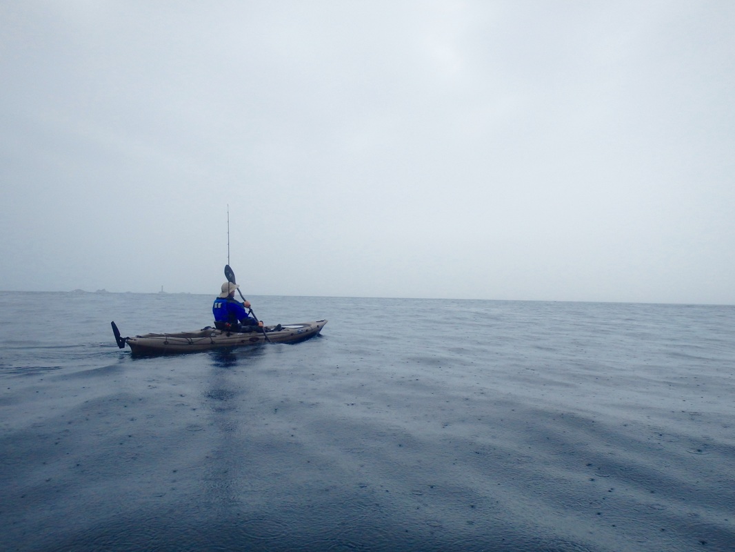 RTM Abaco 4.20 in Coffee