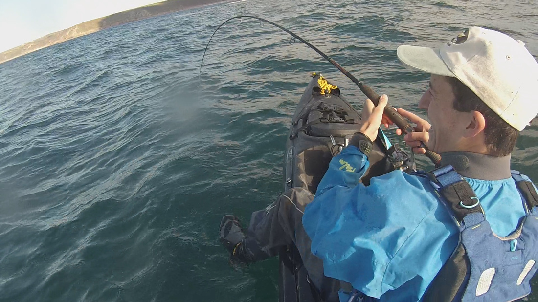 Ugly Stik 6-12lb Kayak Rod bent into a Pollack