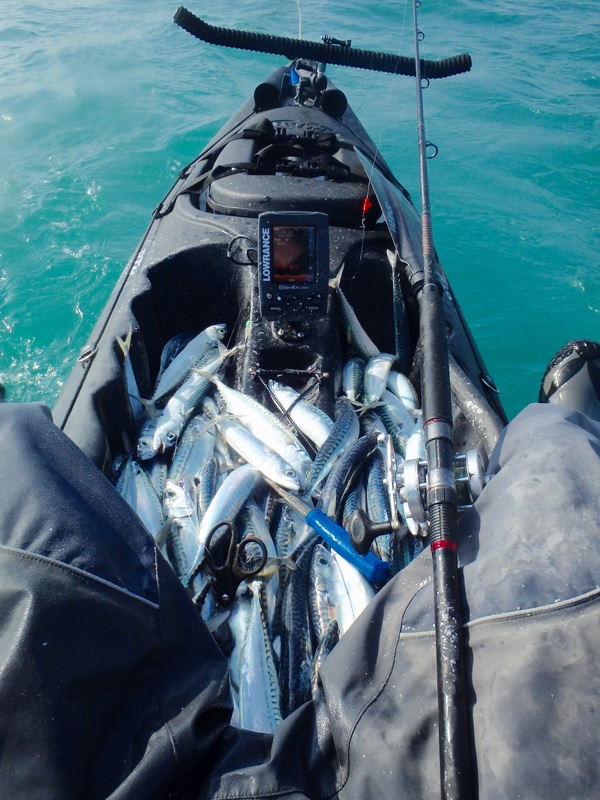Kayak Fishing for Mackerel in Cornwall