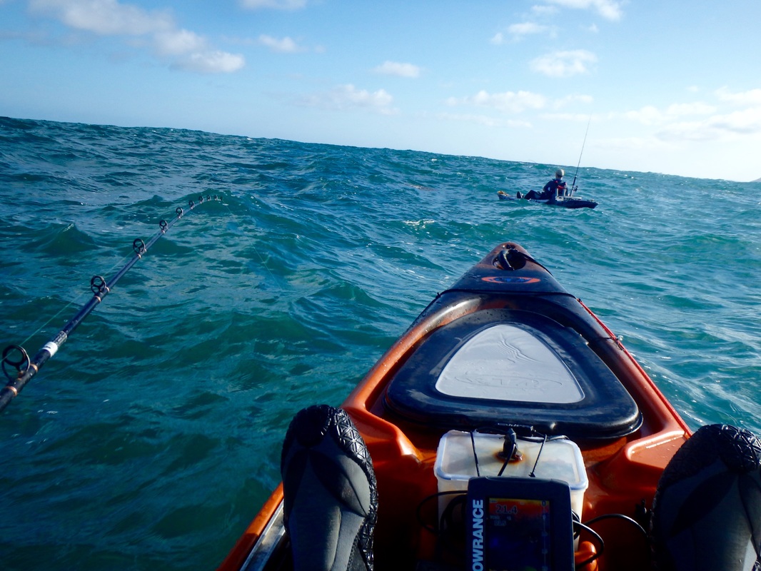 Kayak fishing for Tope in Cornwall