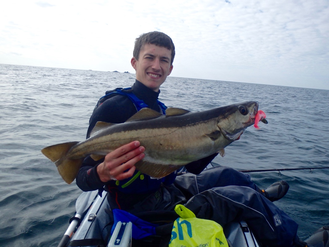 Pollack caught on a Pink Neon Back Homemade Fiiish Minnow