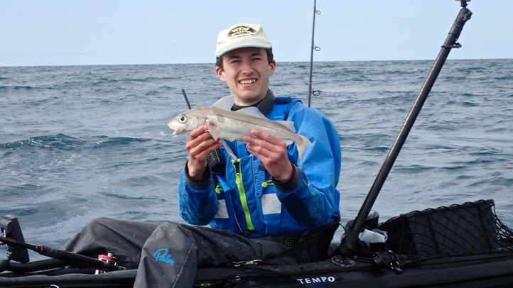 Haddock caught on the Kayak