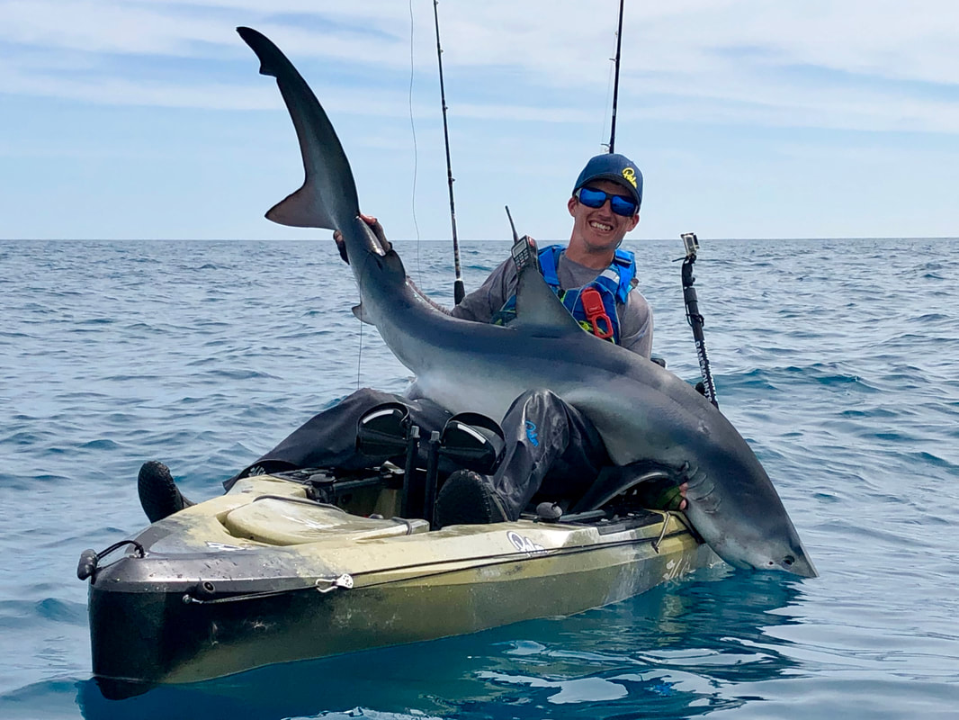 Kayak Fishing for Blue Sharks