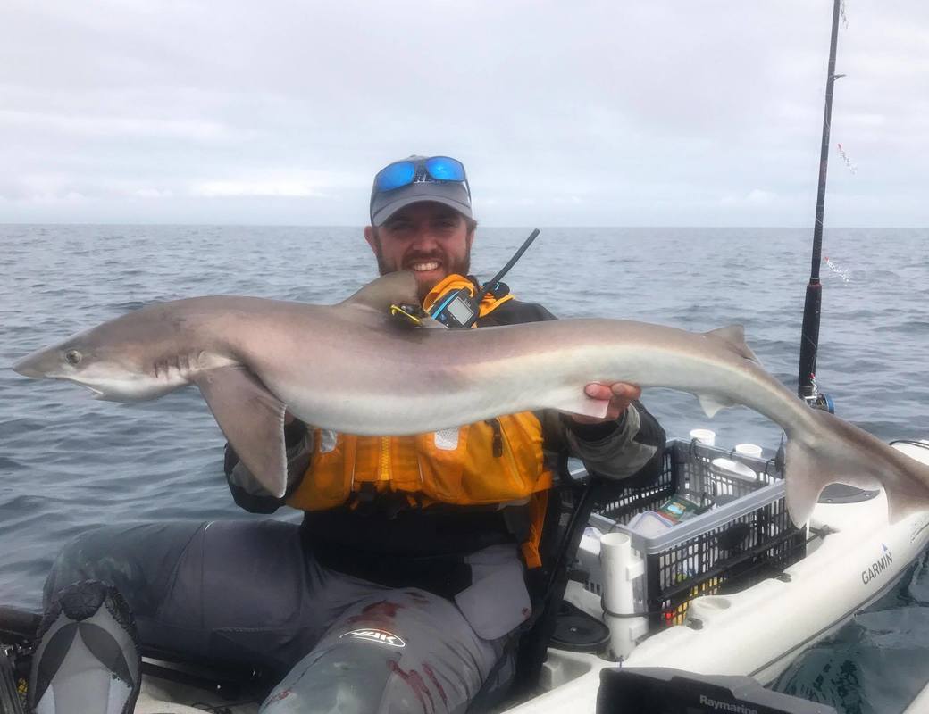 Tagged Tope Irish Fisheries Board - Kyle Waterhouse