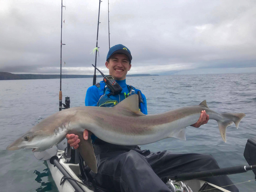 Tope Fishing from a Kayak